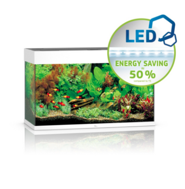 RIO 125 LED - White